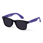 Lilac Vision Polarized Wayfarer Sunglasses