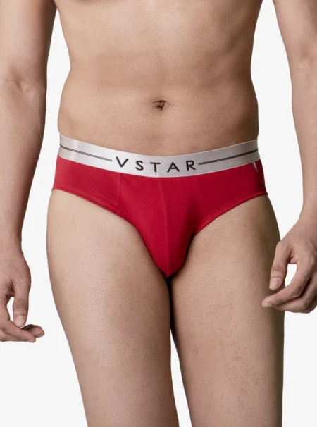 Super soft elastane brief with metallic waistband